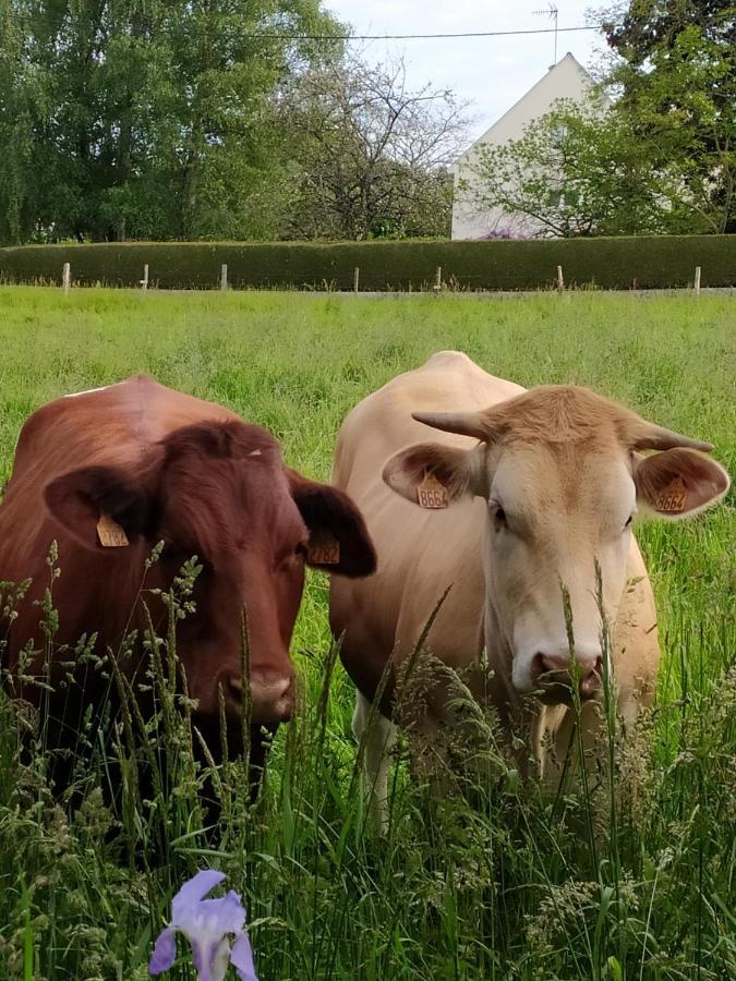 La Chaussee D'Olivet En Mayenne Kültér fotó