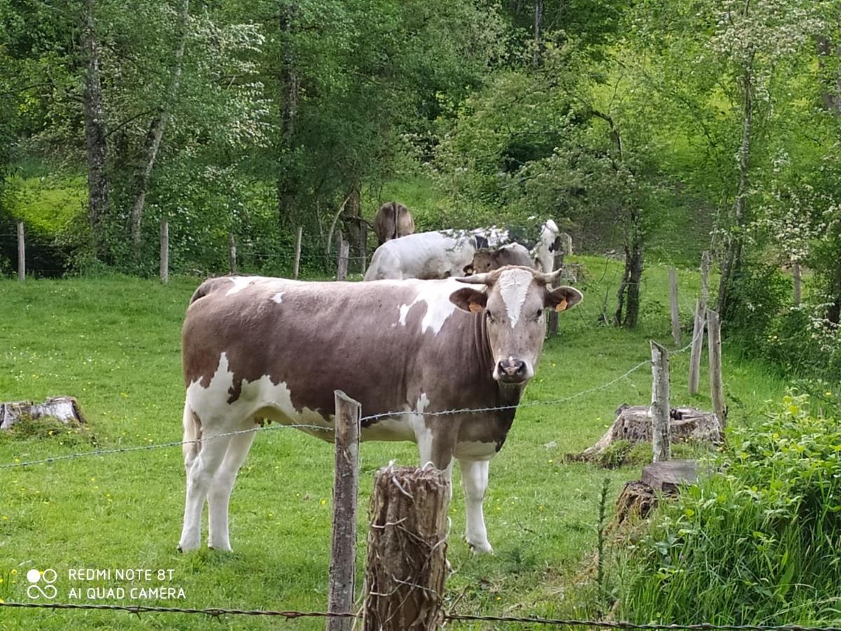 La Chaussee D'Olivet En Mayenne Kültér fotó